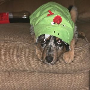 Meet your Posher, Kylie